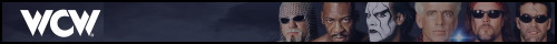 WCW Banner 9.jpg