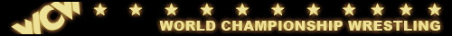 WCW Banner 6.jpg