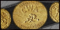 CWA World Heavyweight.jpg