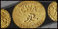 CWA World Middleweight.jpg