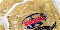GEN World Tag Team Gold White.jpg