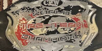 CZW World Tag Team alt1.jpg
