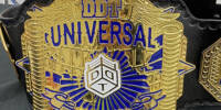 DDT Universal.jpg