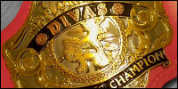 FCW Divas.jpg