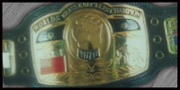 FMW Brass Knuckles.jpg