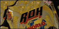ROH World Tag Team3.jpg