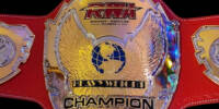 RWA Heavy Renegade.jpg