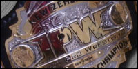 IPW New Zealand Heavy.jpg