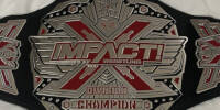 Impact X Division 20.jpg