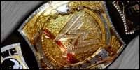 WWE Spinner.jpg