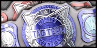 WWE Tag 2.jpg