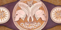 WWE Tag Team 10.jpg