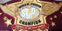 World of Stardom alt1.jpg