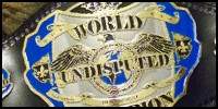 World Undisputed.jpg