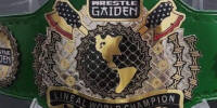 Wrestle Gaiden Lineal World.jpg