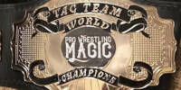 Magic Tag Team.jpg
