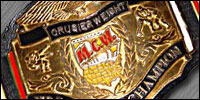 MCW Cruiser.jpg
