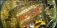 MCW Heavy MD2.jpg