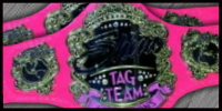 Shine Tag Team Championship.jpg
