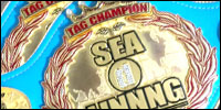 SEAdLINNNG Tag Team.jpg