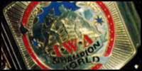 IWAJ World.jpg