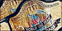 IWA World Tag Team JPN.jpg