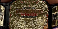 Spirit of Ganbare World Open alt1.jpg