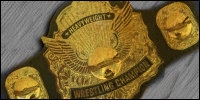 Generic World Title.jpg