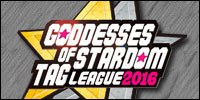 Goddesses of Stardom Tournament.jpg