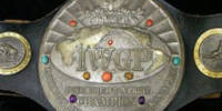 IWGP Junior Heavy alt1.jpg