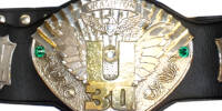 IWGP U 30 Open.jpg