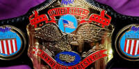 IWR United States Heavy.jpg