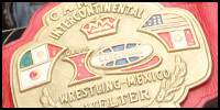 IWRG IC Welter.jpg