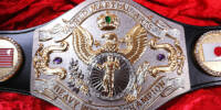 WWF World Martial Arts Heavy.jpg