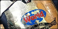 WWF Tag Team.jpg