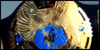 WWF World 9.jpg