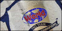 WWF Tag Team3.jpg