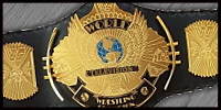 WWF TV 3.jpg