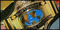 WWF World 87.jpg