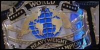 WWF World 5.jpg