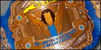 TCW Junior Heavy.jpg
