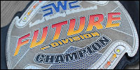 SWE Future Division.jpg