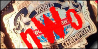 WCW Cruiser nWo Red.jpg