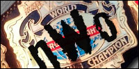 WCW Cruiser nWo.jpg