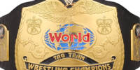 WWE World Tag Team 02 alt1.jpg