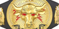 WWE Brahma Bull 99.jpg