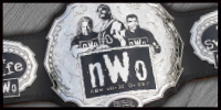 nWo Title Silver.jpg