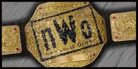 nWo World Title.jpg