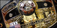 NWA World Heavy.jpg