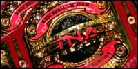 TNA Knockouts Tag Team.jpg